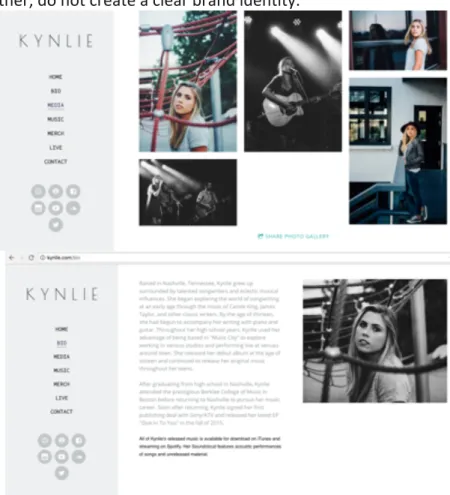 Figure 11: Kynlie’s original website media pre social media strategy 