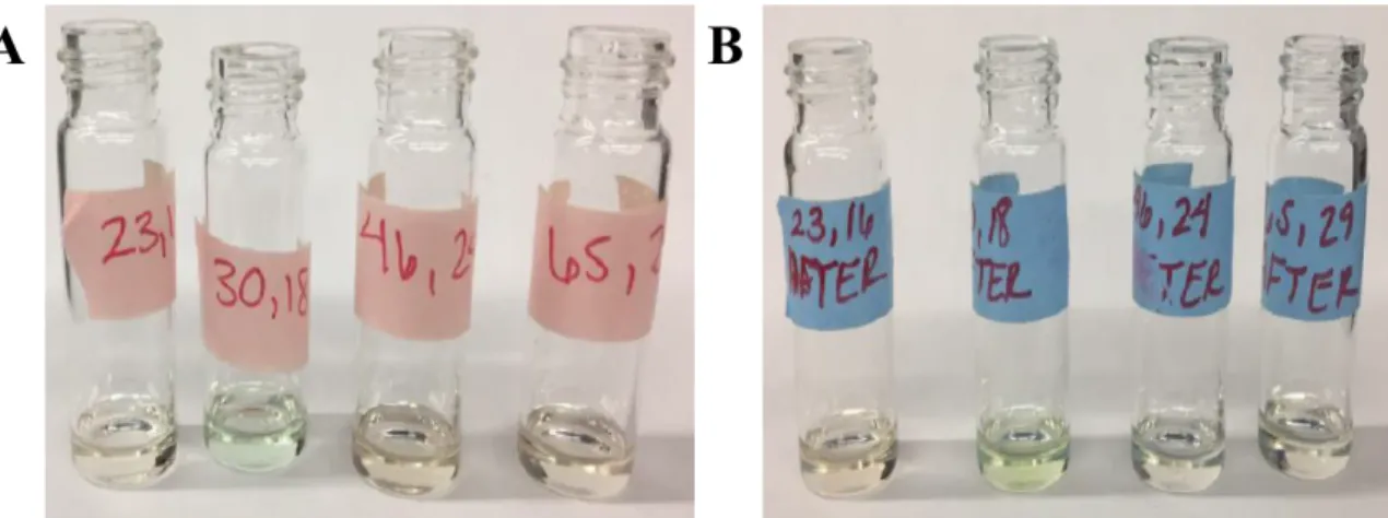 Figure 10 Samples before and after catalysis Series 1.  The figure above is (a) of the  sample  before  catalysis  and  (b)  the  sample  after  catalysis