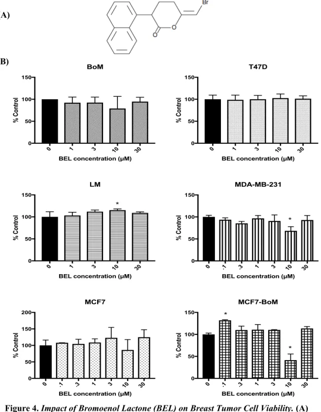Figure 4. Impact of Bromoenol Lactone (BEL) on Breast Tumor Cell Viability. (A)  Structure of BEL