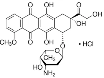 Figure 3: Chemical structure of doxorubicin, CAS Number: 25316-40-9 (Doxorubicin  hydrochloride, Sigma-Aldrich) 