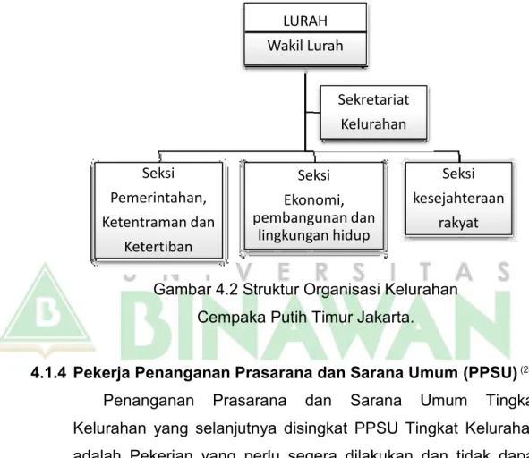 Gambar 4.2 Struktur Organisasi Kelurahan   Cempaka Putih Timur Jakarta. 