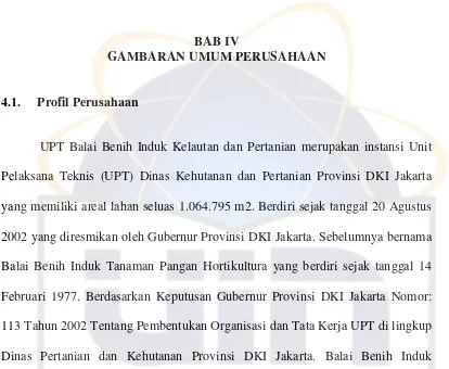 GAMBARAN UMUM PERUSAHAAN 