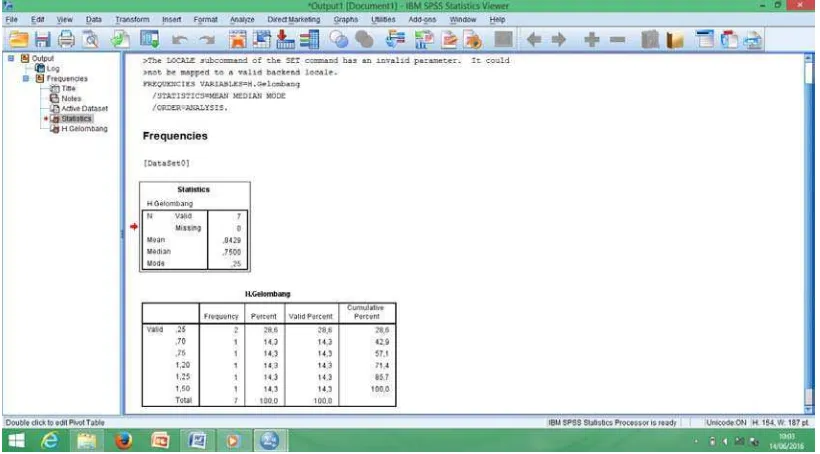 Gambar 4.6. Tampilan Frequencies Statistics program SPSS v.22 