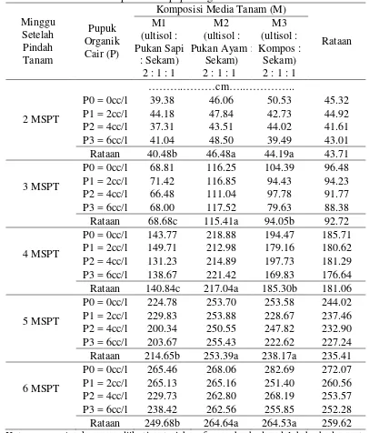 Tabel 1. Rataan tinggi tanaman paria (2-6 MSPT) terhadap berbagai komposisi    media tanam dan pemberian pupuk organik cair