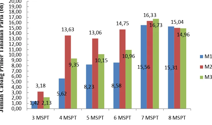 Gambar 3. Histogram Rataan jumlah cabang primer (cabang) dengan        perlakuan komposisi media tanam pada umur 2-6 MSPT 
