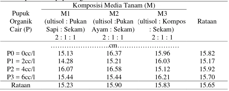 Tabel 6. Rataan panjang buah terhadap berbagai komposisi media tanam dan    pemberian pupuk organik cair