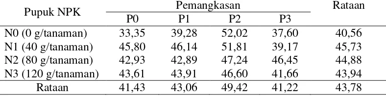 Tabel 6.  Rataan rasio bunga betina dan jantan (%) tanaman melon pada perlakuan pemberian pupuk NPK dan pemangkasan buah 