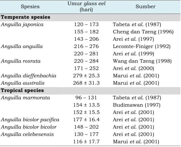 Tabel 1. Rata-rata umur glass eel yang masuk ke perairan tawar. 