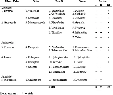Tabel 4.1 Klasifikasi Makrozoobentos Yang Didapatkan di Hilir Sungai BahTongguran