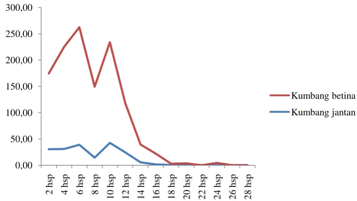 Gambar 4. Grafik perbandingan kumbangE. kamerunicusjantan dan betina yang terperangkap kairomon sintetikpengamatan 2-28 hsp
