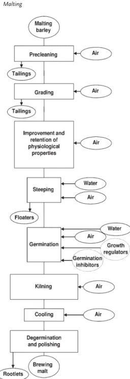 Figure 6.1      Flowchart of malt production. Additives that are  shown in dotted ellipses are not necessary