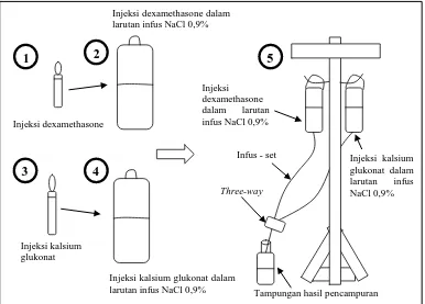 Gambar 3.3 Sketsa pencampuran injeksi dexamethasone dengan injeksi  kalsium glukonat melalui three-way stopcock 