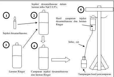 Gambar 3.4 Sketsa pencampuran injeksi dexamethasone dan larutan Ringer dalam satu wadah 