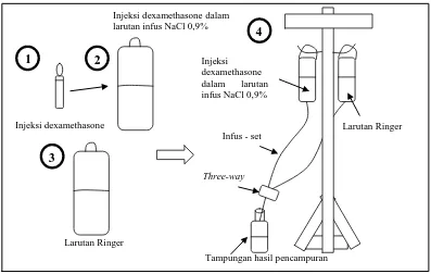 Gambar 3.5 Sketsa pencampuran injeksi dexamethasone dan larutan Ringer  melalui three-way stopcock 