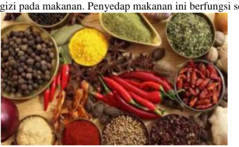 Gambar 2.4 penyedap aroma. 45