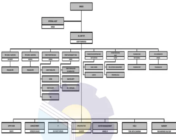 Gambar 1.2 : struktur organisasi PT. Bukit Batu Hutani Alam  ( Sumber : Dokumentasi di PT