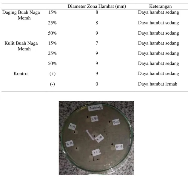 Tabel 1. Hasil Uji Konsentrasi Zona Hambat terhadap Bakteri Proteus mirabilis  Diameter Zona Hambat (mm)  Keterangan  Daging Buah Naga 