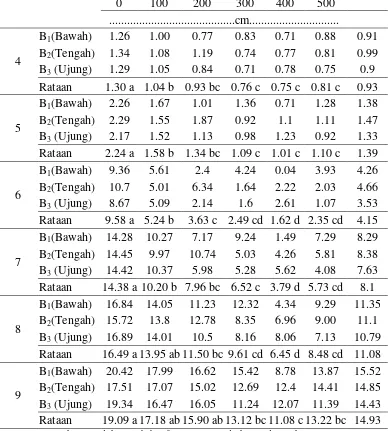 Tabel 4 menunjukkan tunas setek  buah naga merah umur 4-7 MST 
