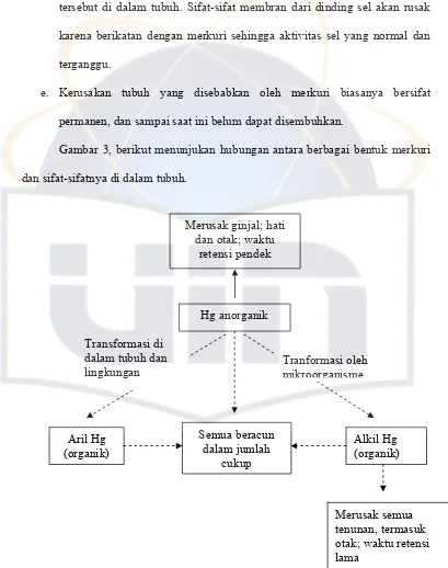 Gambar 3, berikut menunjukan hubungan antara berbagai bentuk merkuri 