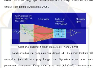 Gambar 2. Detektor Sodium Iodida (NaI) (Kamil, 2008). 