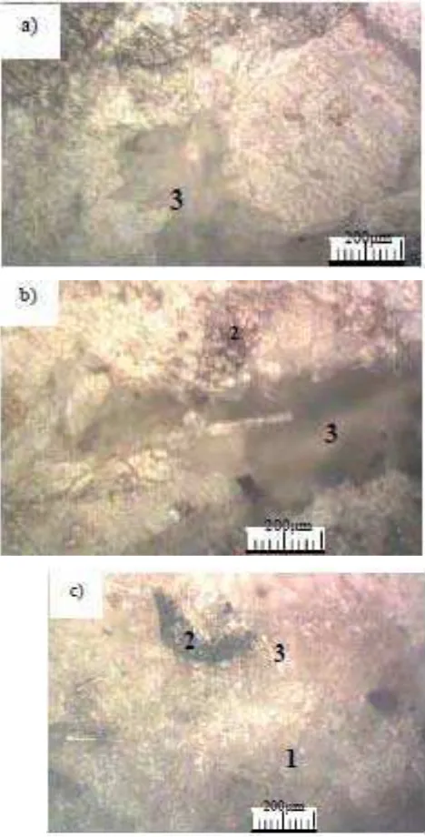 Gambar 4.6 Photo mikro paduan PP, PE dan FB setelah percampuran pada temperatur a) 150oC, b) 200oC dan c) 225oC 