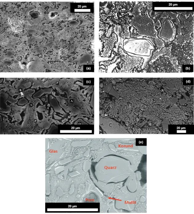 Figure 1.  Examples of over-etched microstructure in literature of (a) sanitary ware  porcelain, 15  (b) quartz porcelain, 16  (c) quartz porcelain, 17  (d) triaxial porcelain, 18 and (e) aluminous electrical porcelain