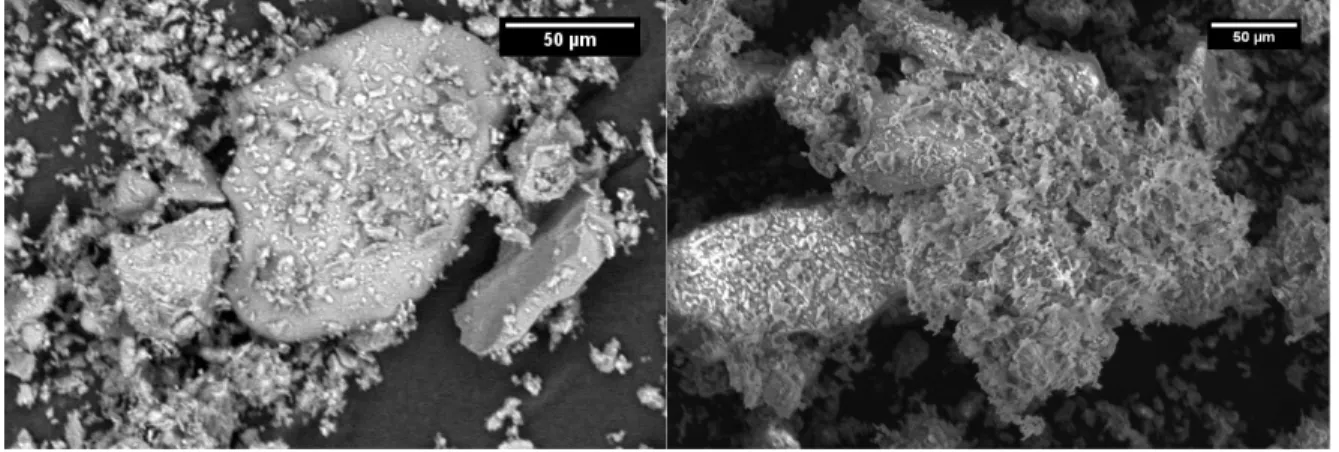 Figure  10:  SEM  images  of  experimental  sample  heated  to  870°C  with  a  20  minute  hold  at  temperature BSE (left) and SE (right) 