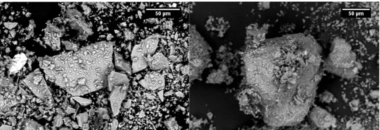 Figure 9: SEM BSE images of experimental samples, 800°C no hold (left) and 870°C no hold  (right) 