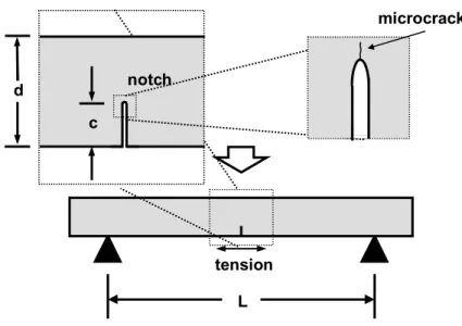 Figure 13.  Schematic of SENB apparatus and setup with magnification of notch  showing radius of flaw tip and microcrack