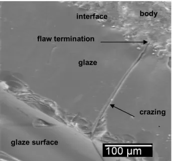 Figure 16.  SEM secondary electron image showing the glaze/body interface with  a crack caused by crazing