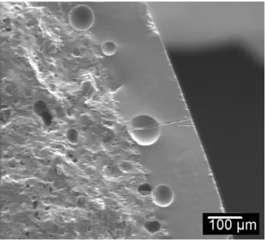 Figure 20.  SEM micrograph showing the glaze/body interface with crack running  through a bubble