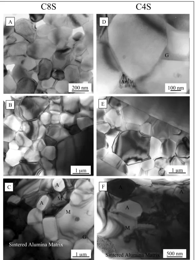 Figure 2.5. Bright-field  TEM  micrographs  for  C8S  (left  column)  and  C4S  (right  column)  with  phases  of  A  -  alumina,  G  -  amorphous  glassy  triple 