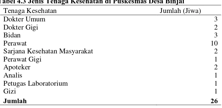 Tabel 4.2Sarana dan Prasarana Puskesmas Desa Binjai 