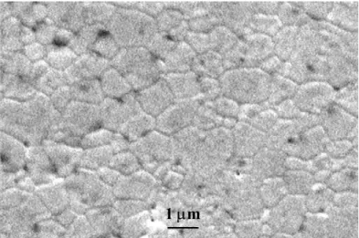 Figure 7.    SEM micrograph of a conventionally sintered sample processed at 1450 o C