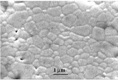 Figure 10.  Microwave SEM micrograph using the “microwave” heating profile as shown in  Figure 5, sintered at 1400 o C