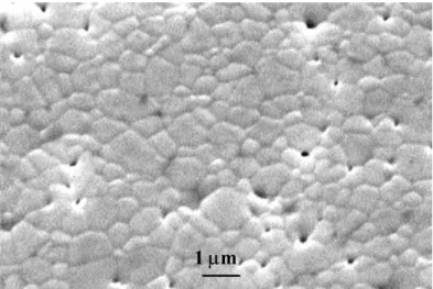 Figure 9.    SEM micrograph of a fast-fired sintered sample processed at 1450 o C. 