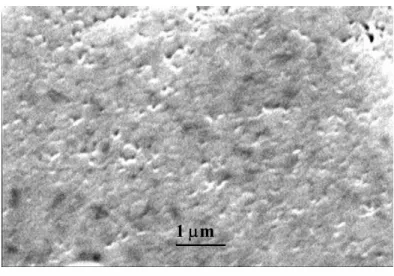 Figure 11.  Microwave SEM micrograph using the “microwave s” heating profile, as shown in  Figure 5, sintered at 1400 o C