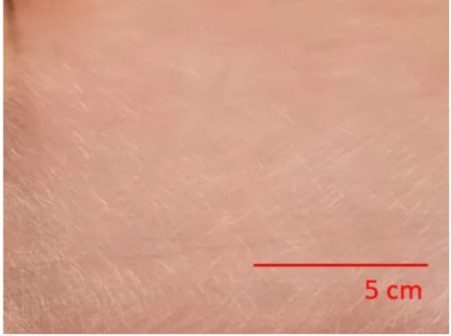 Figure 4. Image that  illustrates surface  roughness inflicted from  sanding process. 