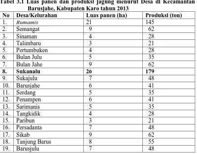 Tabel 3.1 Luas panen dan produksi jagung menurut Desa di Kecamantan Barusjahe, Kabupaten Karo tahun 2013 