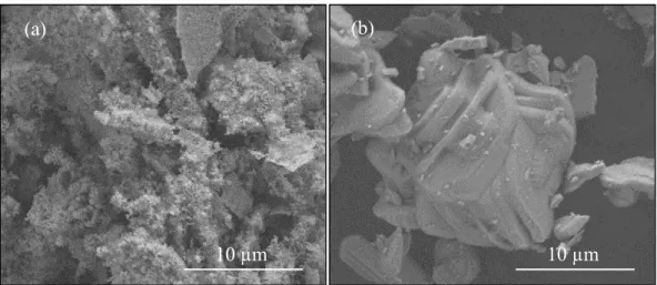 Figure 9.  SEM  micrographs  (5,000X)  of  BGR  (a)  combustion  synthesized  nanopowders (as-synthesized) and (b) heat treated at 1400 °C for 1 hr