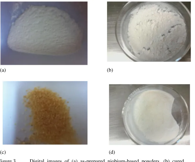 Figure 3.  Digital  images  of  (a)  as-prepared  niobium-based  powders,  (b)  cured  niobium- based powders, (c) as-prepared titanium-based powder, and (d)  cured titanium-based powders