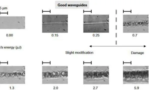 Figure 1.5 White light microscopy images of laser modification inside fused silica over a 