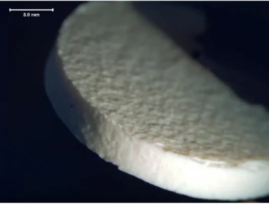 Figure 12: Optical micrograph of a typical intermediately sintered SiO 2  porous compact