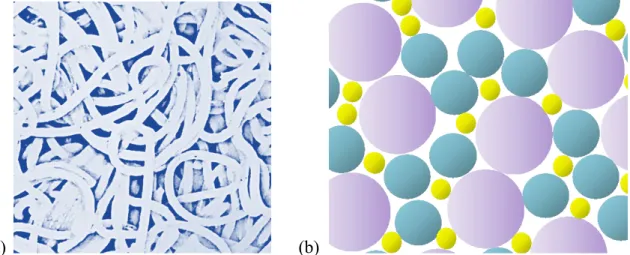 Figure 3. (a) Random coil model; (b) random packing model. 