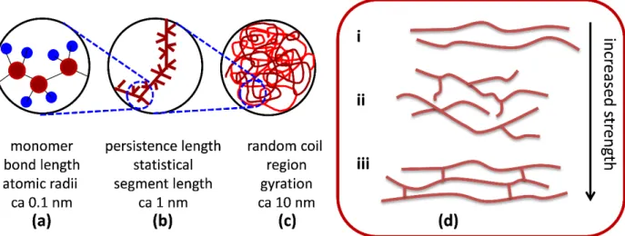 Figure 4. (a) short-, (b) medium-, and (c) long-range order in polymeric glasses, and (d): schematic how varying  interactions between polymer chains impact the strength and transition temperature, in increasing order (i) linear  polymers, (ii) branching p