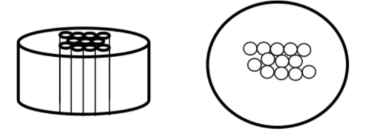 Figure 5.  Left: side view of mounted WDS samples    Right: Bottom view of mounted WDS  samples 