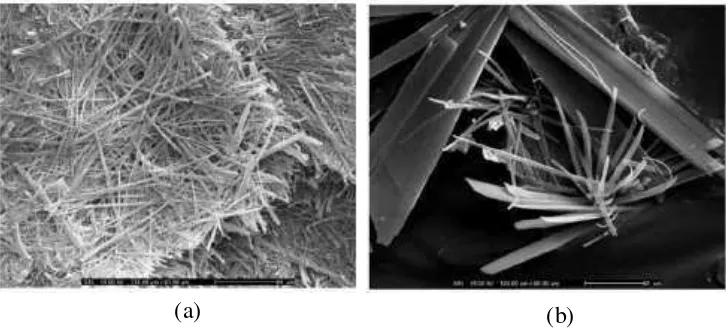 Gambar 4.4 Morfologi Kristal dengan Penambahan Antisolvent (a) Metanol dan (b) Etanol [69] 
