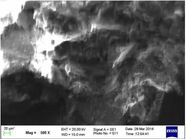 Gambar 4.7. Uji SEM-EDX Perbesaran 1000X 
