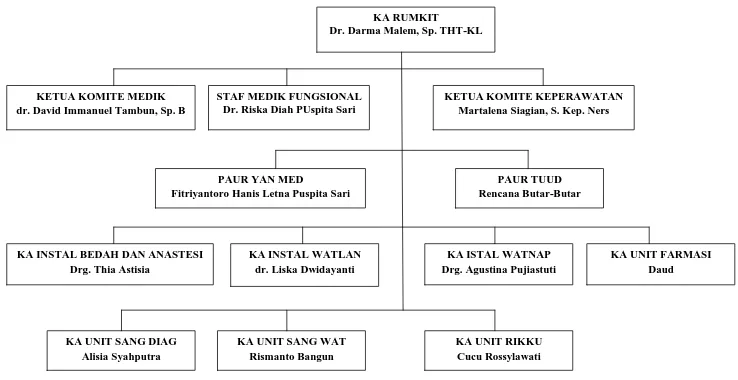 Gambar 4.1 Struktur Organisasi RS Tentara Binjai Berdasarkan Perkasad No 74 Tahun 2014 tanggal 2 Desember 2014 
