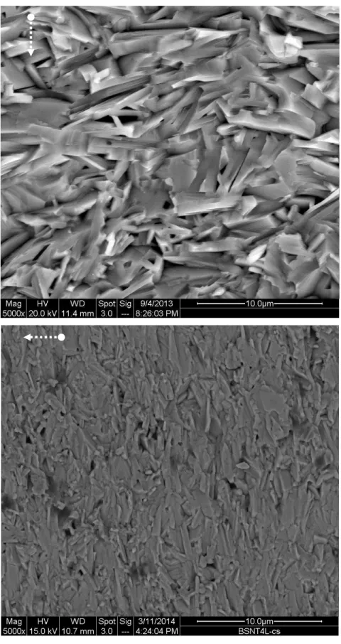 Figure  0.1:      SEM  micrographs  of  hot-forge  sintered  Bi 2 Sr 1.5 Ca 1.5 Nb 2 Ti 2 O 15  (up)  and  Bi 2 Sr 3 Nb 2 Ti 2 O 15  (down)  fracture  surfaces.(Arrows  show  the  pressing  directions) 